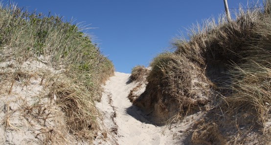 Blåvand Feriehusudlejning